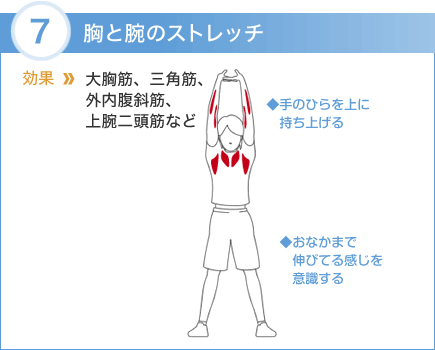 7.胸と腕のストレッチ