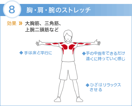 8.胸・肩・腕のストレッチ